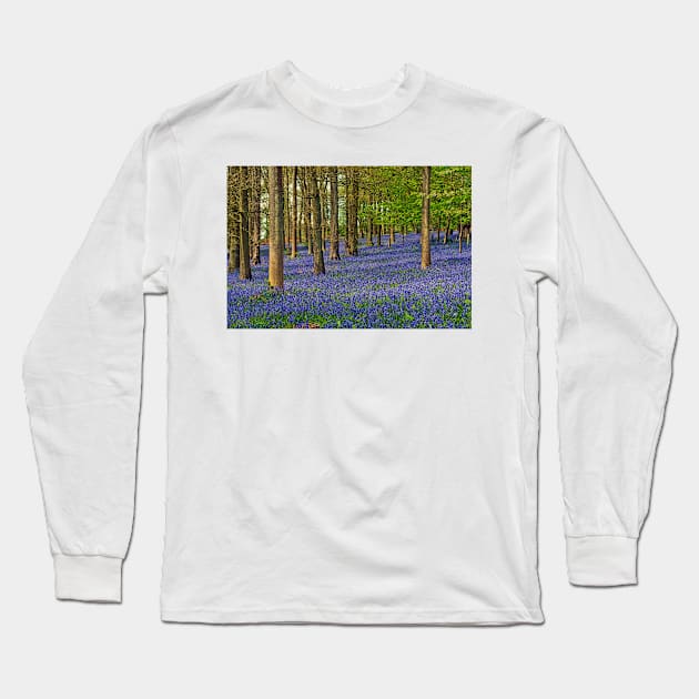 Bluebell Woods Greys Court Oxfordshire UK Long Sleeve T-Shirt by AndyEvansPhotos